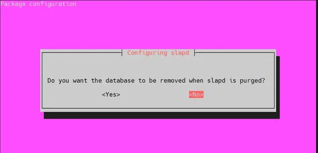 "Screenshot of the prompt asking to remove the database when slapd is purged"