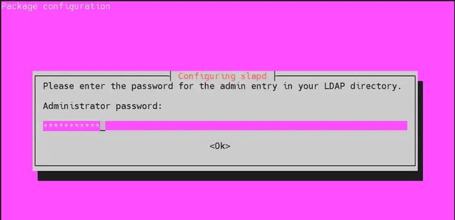 "Screenshot of prompt asking to set the administrator password while installation"