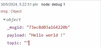 Simple message object printed on debug panel by debug node