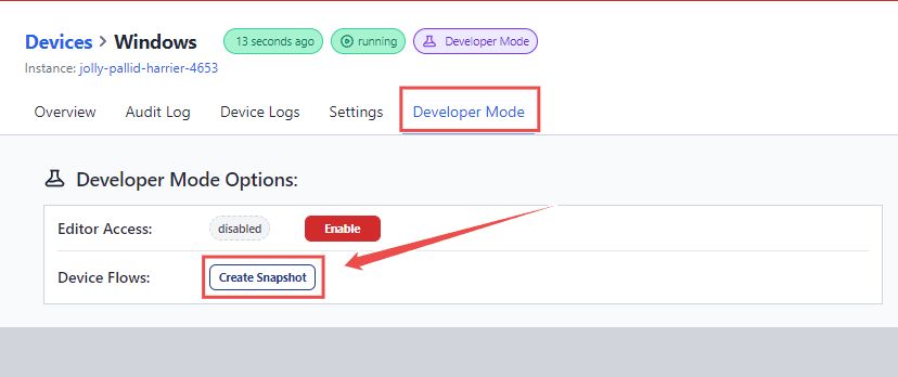 Image showing the 'Create Snapshot' option in the Developer mode tab