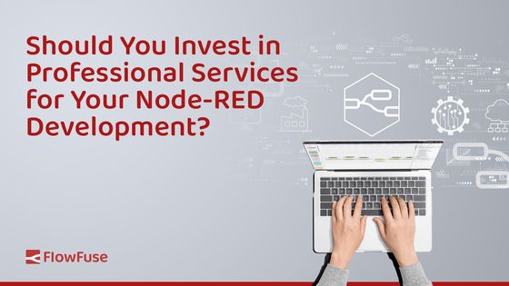 Image representing Should You Invest in Professional Services for Your Node-RED Development?
