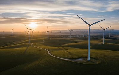 Wind turbines in an open field at sunset.