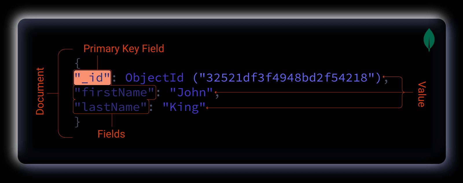 "Annotomy of MongoDB document"