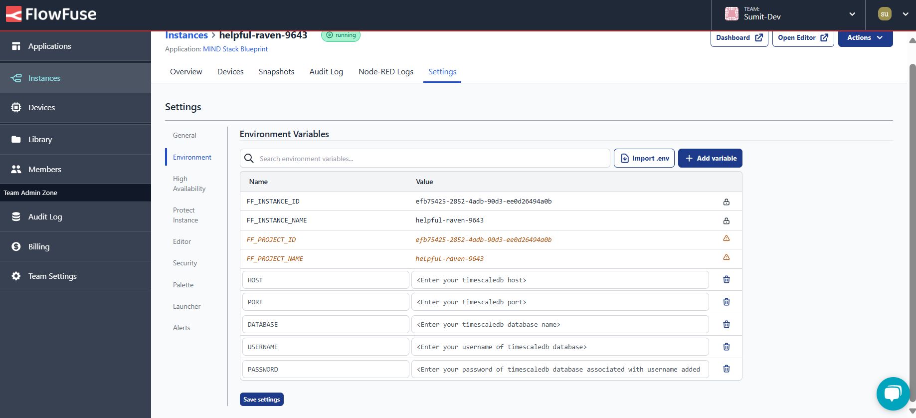 "Screenshot the FlowFuse instance setting's environment tab"